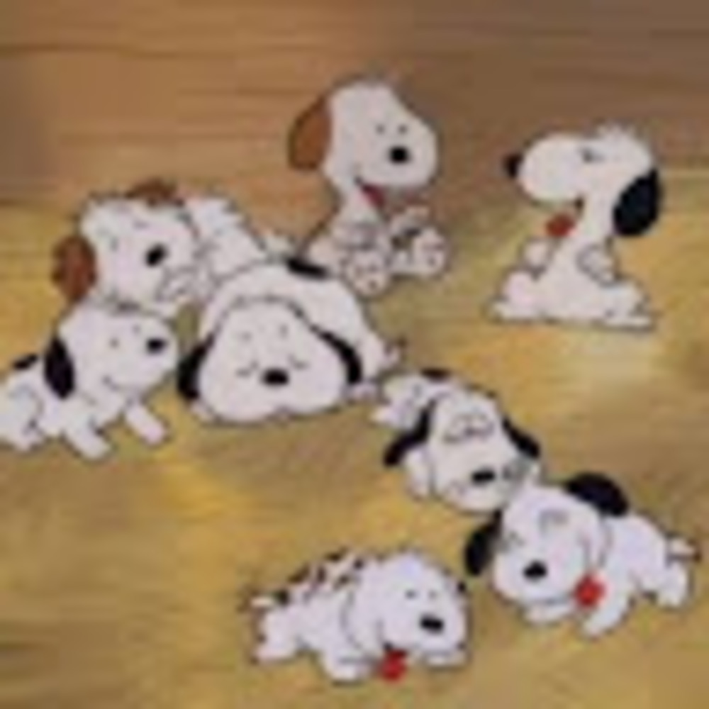 Meet your Posher, Snoopy